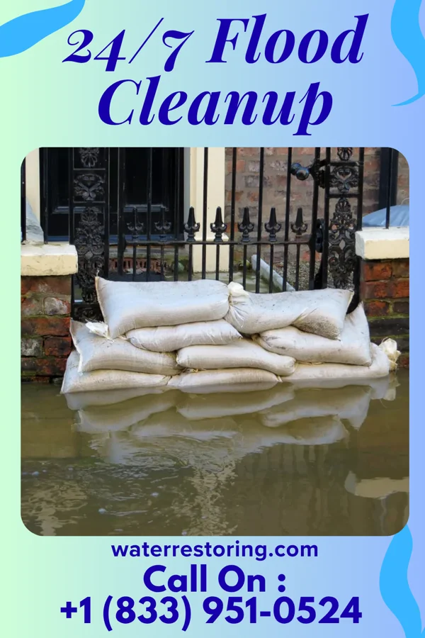 24/7 Flood Cleanup in Sardis, GA