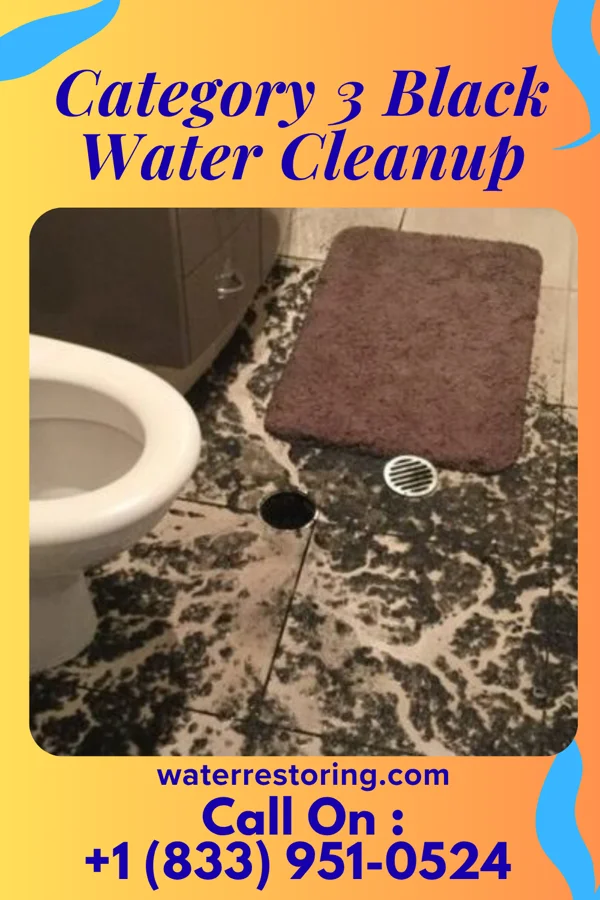 Category 3 Black Water Cleanup in Sardis, GA