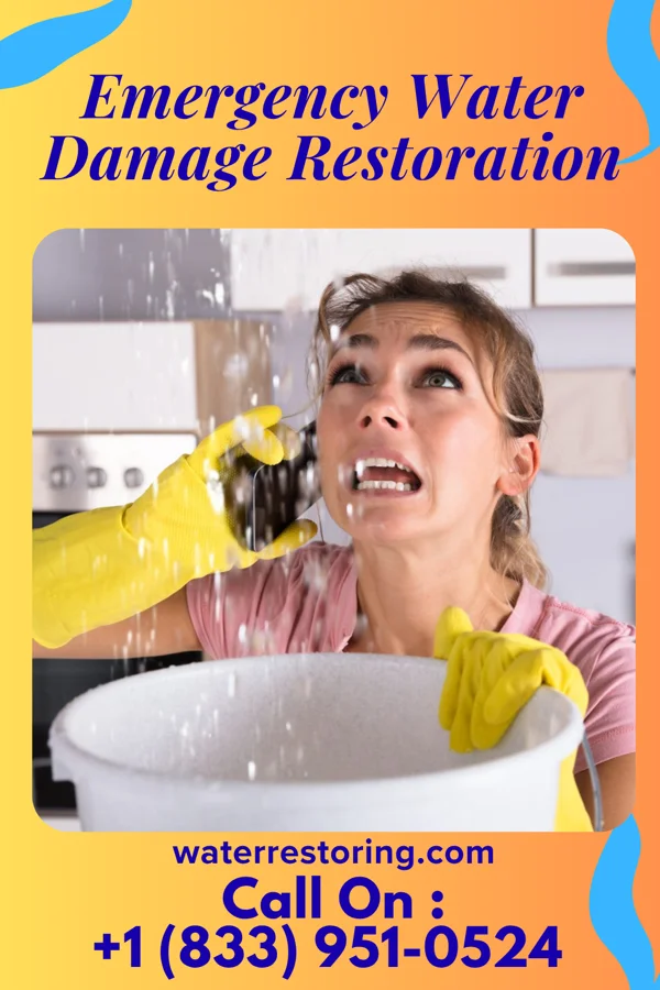 Emergency Water Damage Restoration in Sardis, GA
