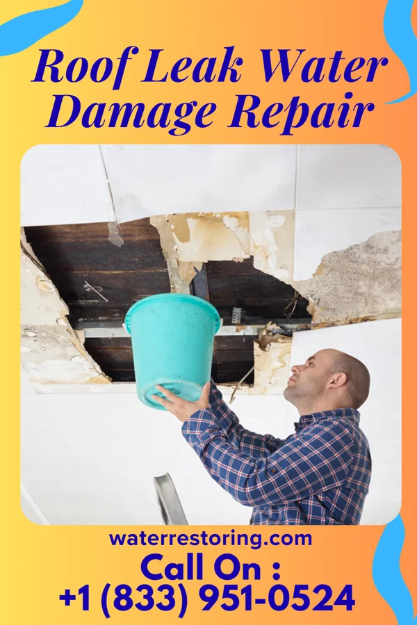 Roof Leak Water Damage Repair in Sardis, GA