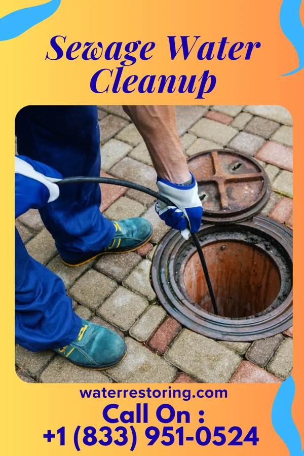 Sewage Water Cleanup in Sardis, GA
