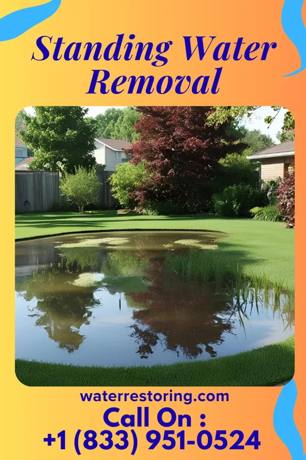 Standing Water Removal in Sardis, GA